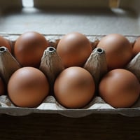 おーはし農園の平飼いたまご　20個　定期便  (クール便発送)