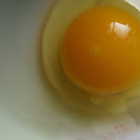 おーはし農園の平飼いたまご　30個　定期便  クール便発送