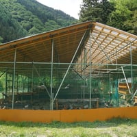 おーはし農園の平飼いたまご　80個(クール便)