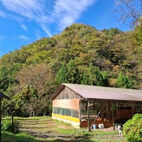 おーはし農園の平飼いたまご　30個