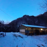 おーはし農園の平飼いたまご　40個　定期便  クール便発送