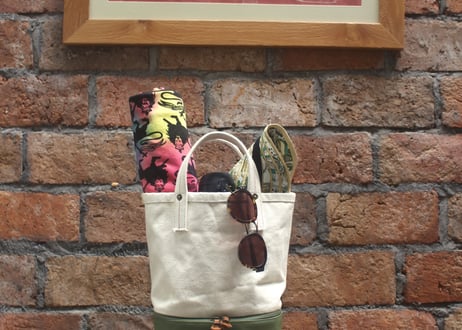 Wasabi Beer cooler canvas tote & Container