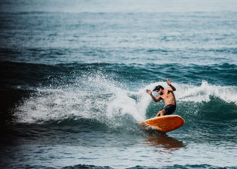 Wasabi x Bangbang Model / Deck wrapping surfboard cover