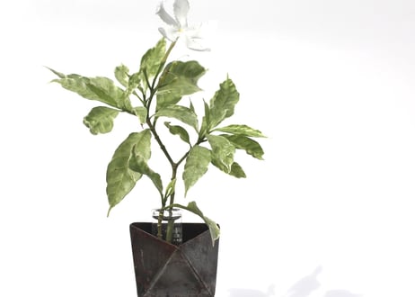 Drum Flower vase pen stand Middle / Raw (Paint stripped off)