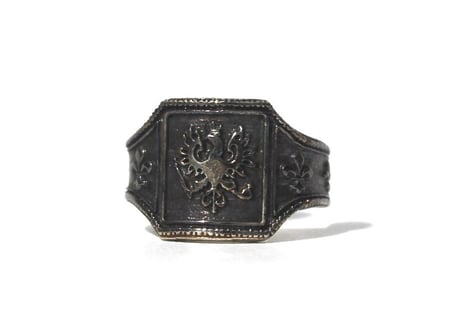 "Cigar ring" Silver ring / Raven