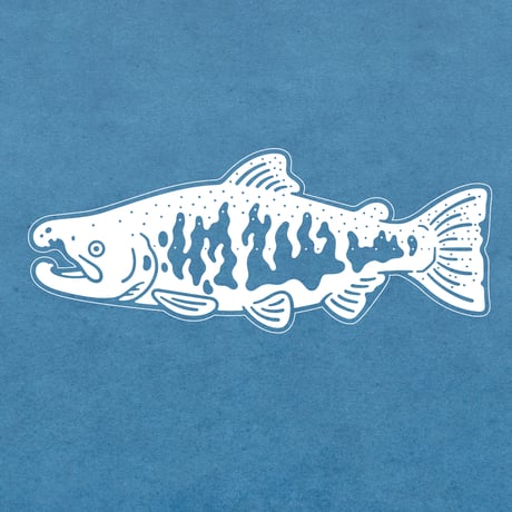 サクラマス | STORES