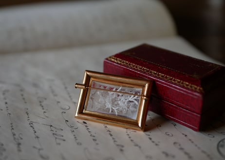 Lucite Brooch Edelwiss
