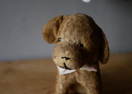 アンティークトイ　DOG　犬　ワンちゃん　フランスアンティーク　ブロカントのある暮らし