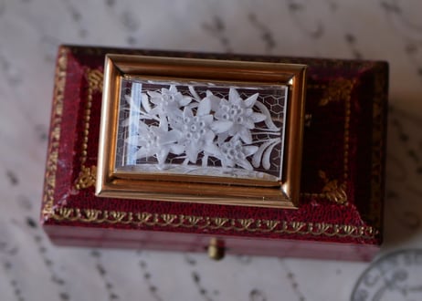 Lucite Brooch Edelwiss