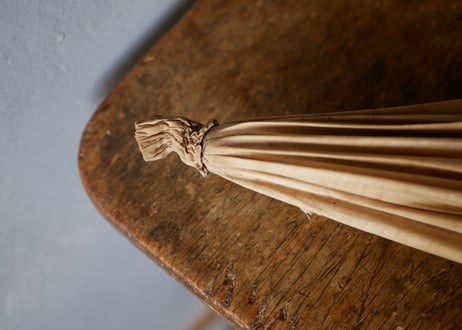 Parasol