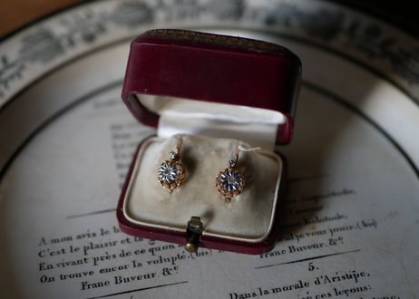 FE-06 Natural Diamond K18 PG Earrings