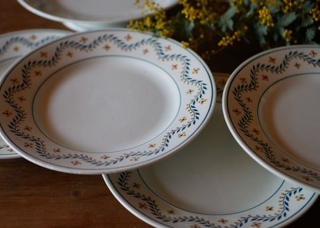 mimosa plate