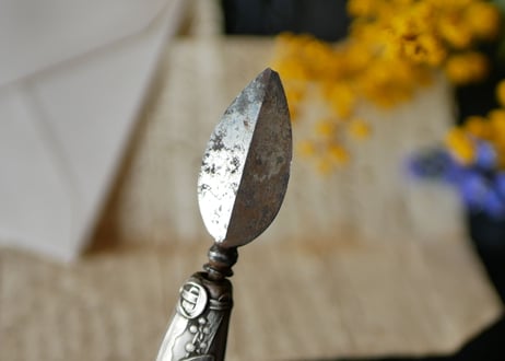 mimosa, petit couteau