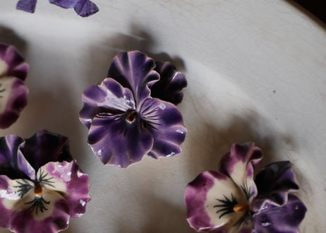 Violettes