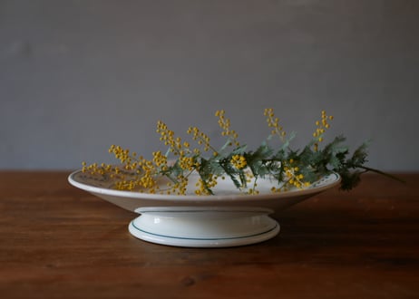 Compotier, mimosa