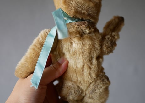 antique bear