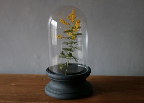 glass dome