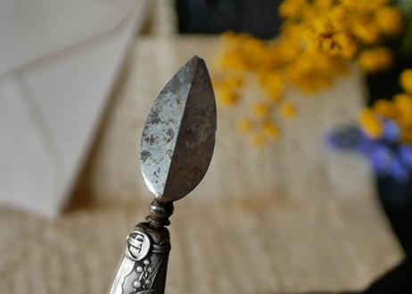 mimosa, petit couteau