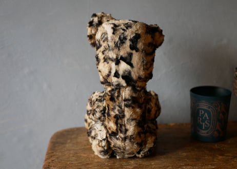 Teddy bear, Leopard