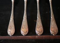 Iris , silver fork,  art nouveau