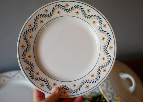 mimosa plate