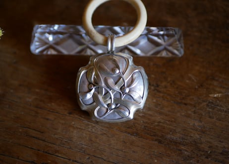 silver rattle, mistletoe