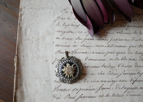 フランスアンティーク　エーデルワイス　ネックレストップ