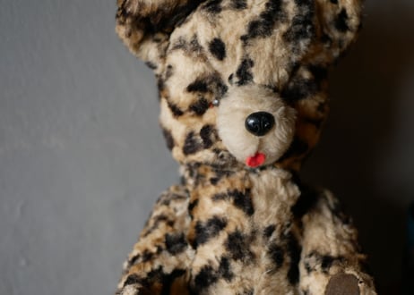 Teddy bear, Leopard