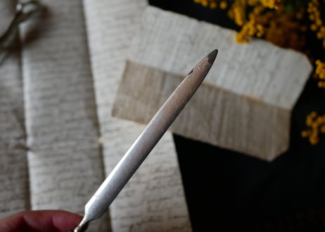 mimosa, paper knife