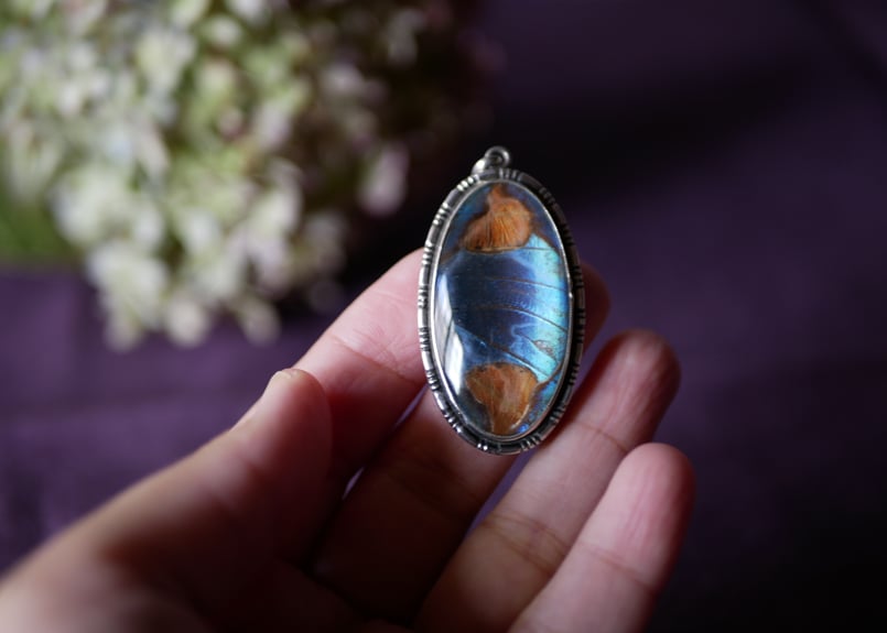 希少☆幸運を呼ぶ青い蝶 本物のモルフォ蝶の羽 シルバー925ペンダント