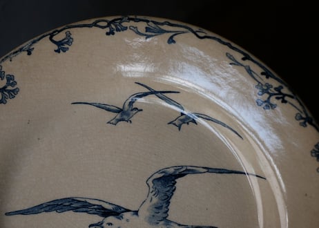 plate A, seagulls
