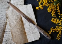 mimosa, paper knife