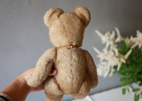 Bear, JAN JAC PARIS