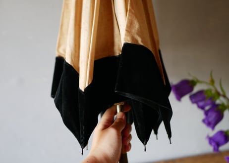 Parasol