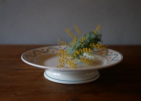 Compotier, mimosa