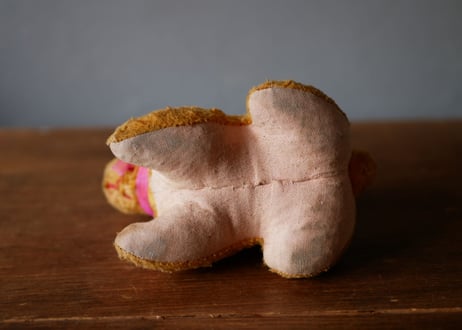 Rabbit