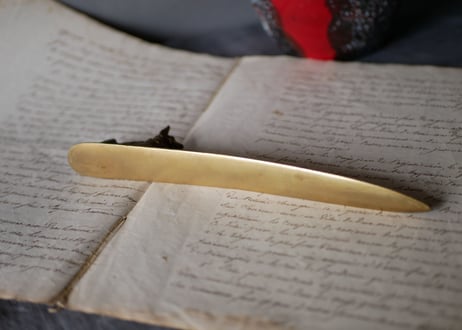 letter openner, Dog