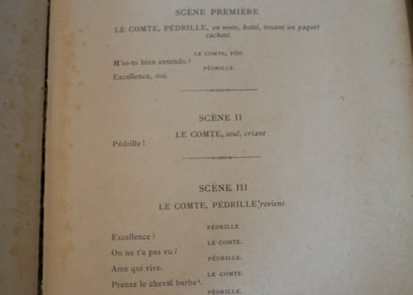 古い本　フランスアンティーク　大型本