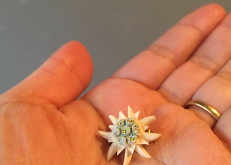 仏アンティーク エーデルワイス ブローチ