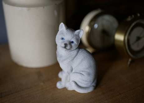 白い猫　Chat Blanc　フランスヴィンテージ　ブロカントのある暮らし
