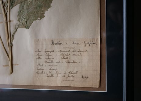 herbier no.5