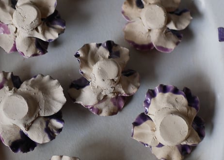 Violettes