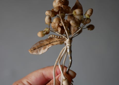 Wax flower