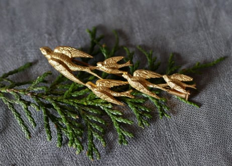 swallows  brooch