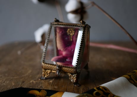 Beautiful case for watch