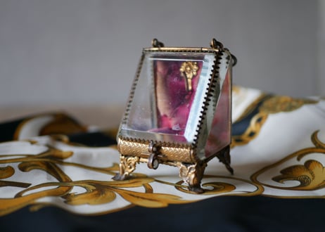 Beautiful case for watch