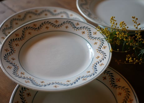 mimosa plate