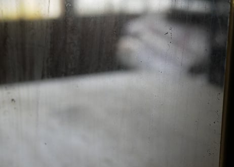 貴婦人のミラー　蛇革　三面鏡　オルモル　フランスアンティーク　アンティークのある暮らし