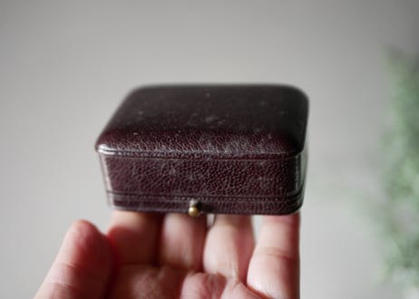 スワン　黒のジュエリー　ケース付き　ヴォルカナイトの白鳥ブローチ　フランスアンティーク