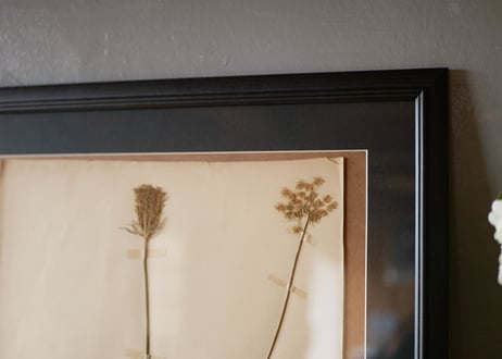 herbier no.2
